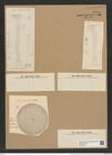 Coscinodiscus oculus-iridis Ehr. (de-Toni-Nr.: Genus 202, Species 5054) Zeichnungen Sammlung Grunow Nr. 8801 (NHMW-BOT-W0378407)